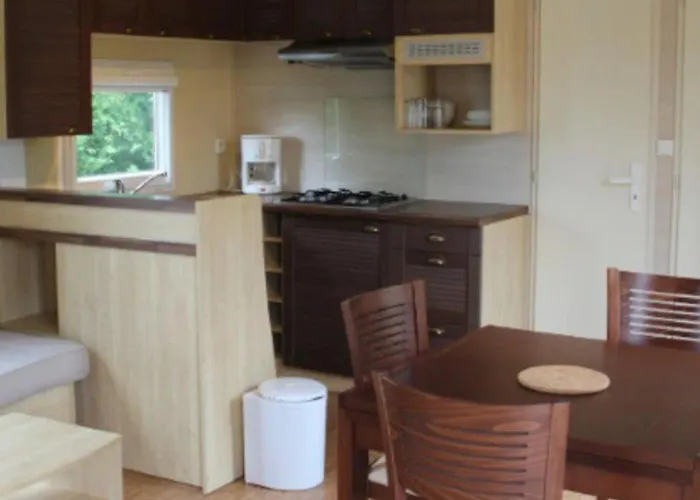 Mobil 23m² Avec Terrasse - 4 Pers - Api-1-52-383 Kamp alanı Les Achards (Vendee)